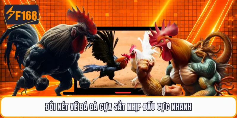 Đôi nét về đá gà cựa sắt nhịp đấu cực nhanh