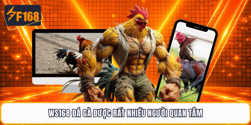 WS168 đá gà được rất nhiều người quan tâm